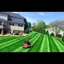 Yard maintenance businesses near me