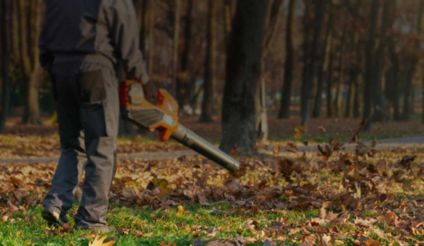 Leaf Removal Services