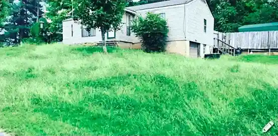 Lawn care service started by vendor 5 on GreenPal platform in Sunnyvale CA