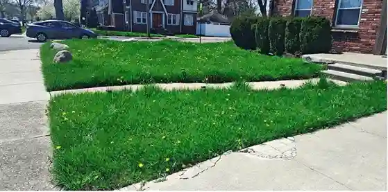 Lawn care service started by vendor 7 on GreenPal platform in Sunnyvale CA