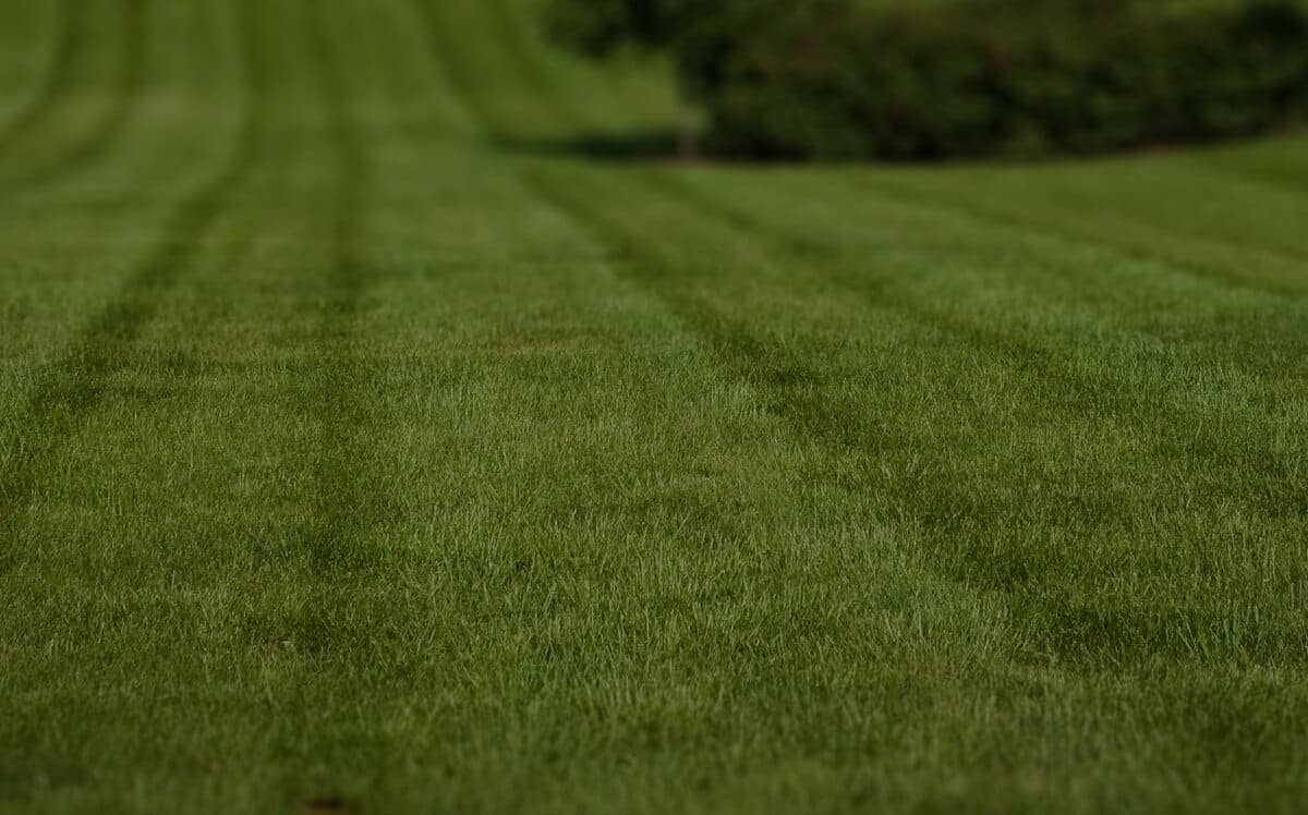 residential-lawn-cutting-businesses-in-Worcester-MA