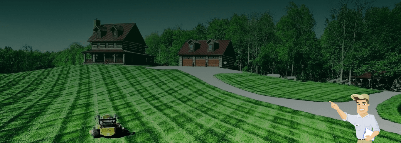 Lawn care hero background