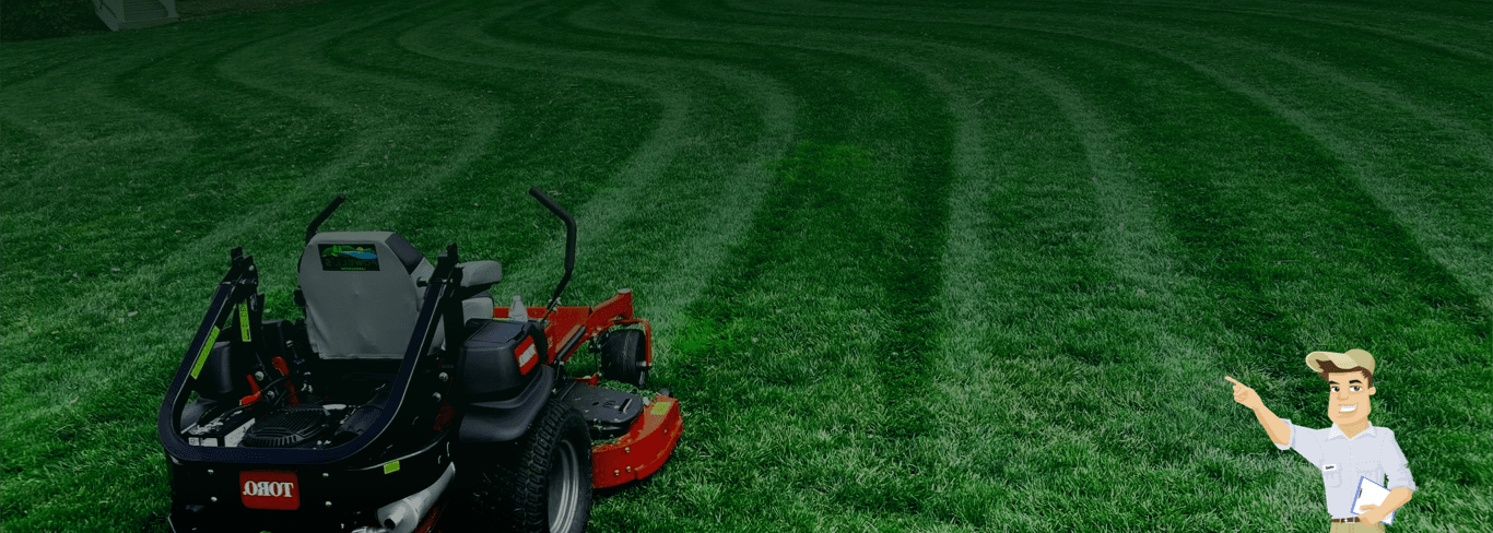 Lawn care hero background