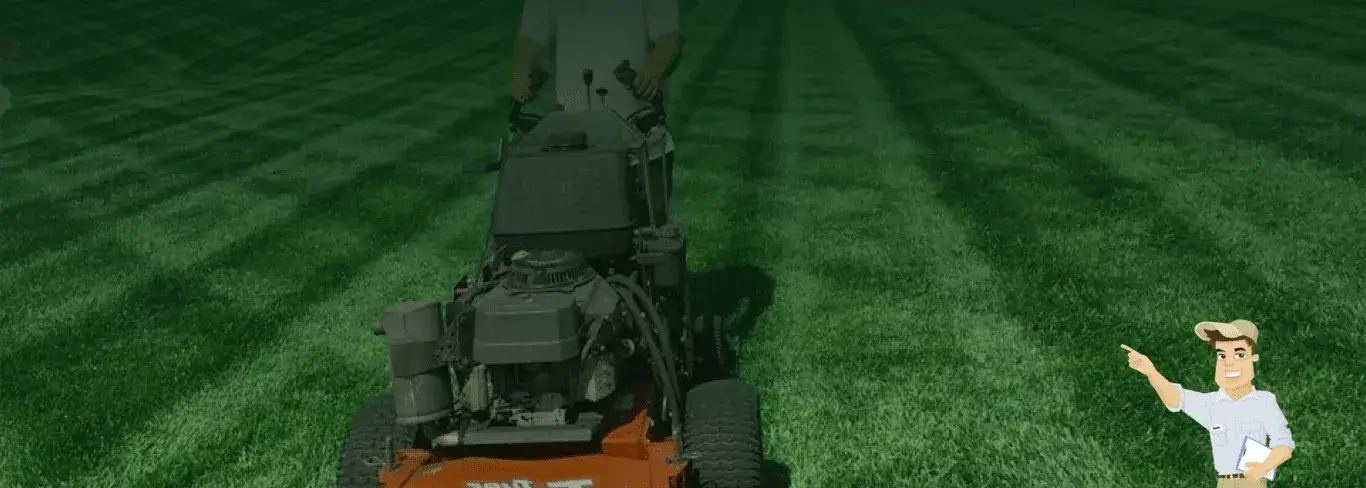 Professional lawn mowing and local yard care services in Anaheim, CA