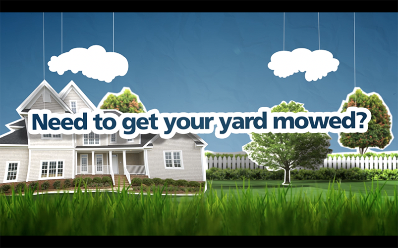 What Is The Best Same Day Lawn Service Near Me Company Near Me